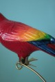 IMG_9725.JPG