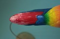 IMG_9728.JPG