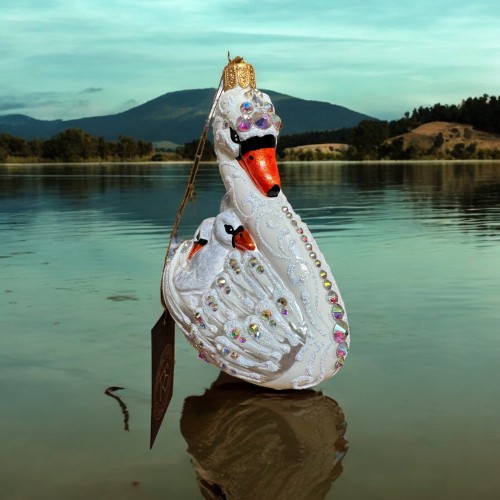 diamond swan (1).jpeg