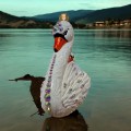 diamond swan (2).jpeg