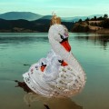 diamond swan (4).jpeg