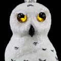 232_Sowa puchacz śnieżny_Ptaki_3.jpg